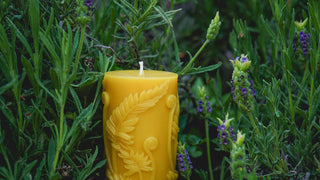 Pillar Candles