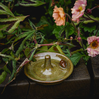 Ember & Earth Ceramics