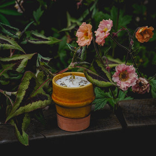 Handmade Terracotta Pot no.1