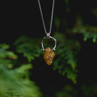 Spring Fidget Necklace no.1