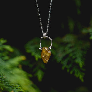 Spring Fidget Necklace no.1
