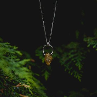 Spring Fidget Necklace no.1