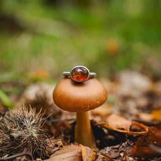 Amber Sapling - UK N/US 7
