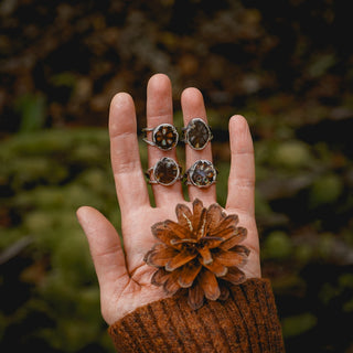 Fossilised Pinecone Ring - UK N/US 7