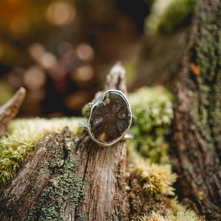 Fossilised Pinecone Ring - UK M/US 6.5
