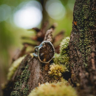 Fossilised Pinecone Ring - UK M/US 6.5