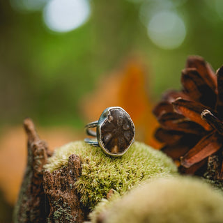 Fossilised Pinecone Ring - UK M/US 6.5