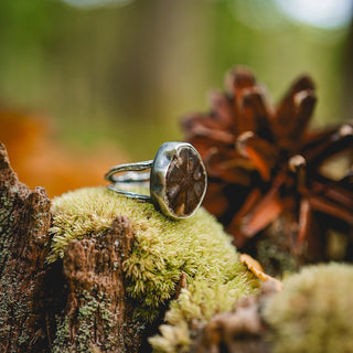 Fossilised Pinecone Ring - UK M/US 6.5