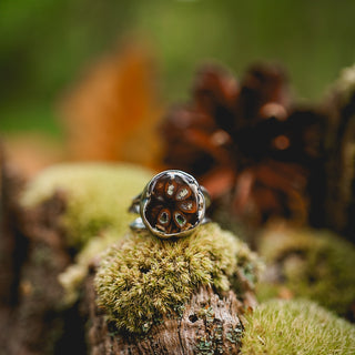 Fossilised Pinecone Ring - UK N/US 7
