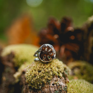 Fossilised Pinecone Ring - UK N/US 7