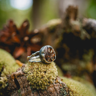 Fossilised Pinecone Ring - UK N/US 7