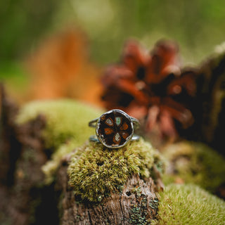 Fossilised Pinecone Ring - UK P/US 8