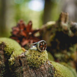 Fossilised Pinecone Ring - UK P/US 8