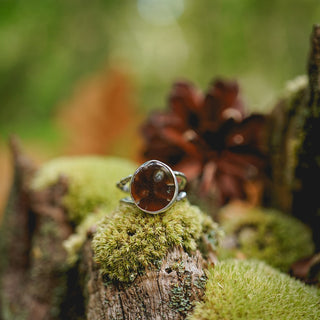 Fossilised Pinecone Ring - UK R/US 9