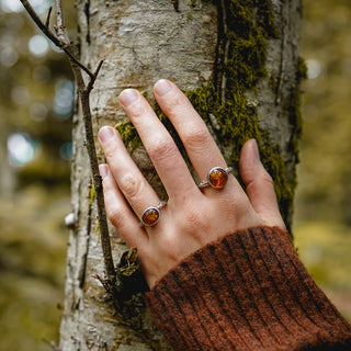 Amber Sapling - UK N/US 7