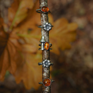 Amber Sapling - UK N/US 7