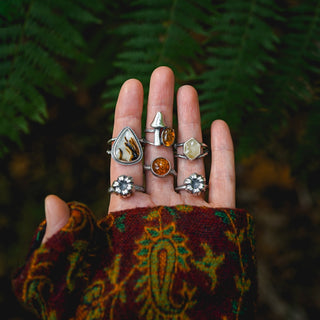 Amber Sapling - UK S/US 9.5