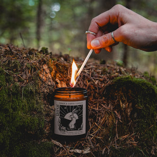 Dusk Plant Wax Candle