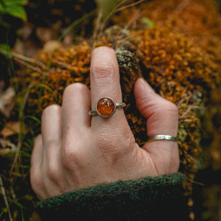 Amber Sapling - UK S/US 9.5