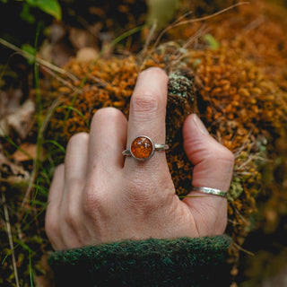 Amber Sapling - UK S/US 9.5