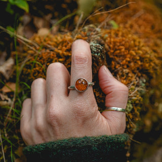 Amber Sapling - UK S/US 9.5