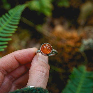 Amber Sapling - UK S/US 9.5