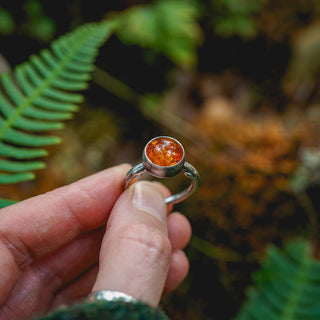 Amber Sapling - UK S/US 9.5
