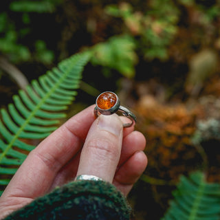 Amber Sapling - UK S/US 9.5