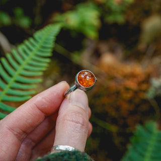 Amber Sapling - UK S/US 9.5