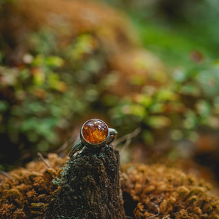 Amber Sapling - UK S/US 9.5