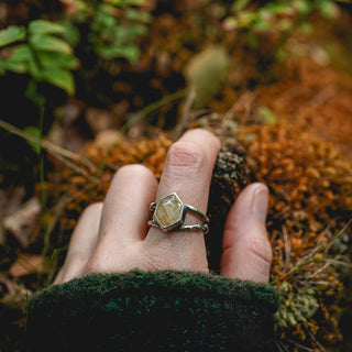 Golden Sapling - Size UK R/US 9