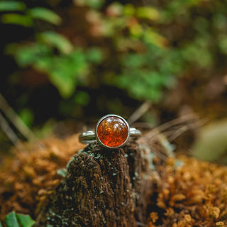 Amber Sapling - UK S/US 9.5