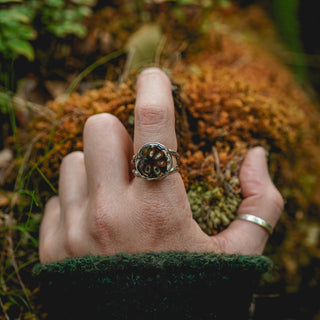 Fossilised Pinecone Ring - UK N/US 7