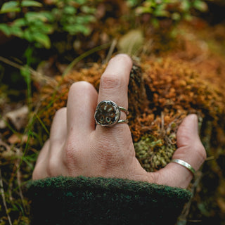 Fossilised Pinecone Ring - UK N/US 7
