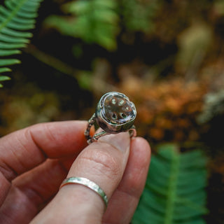 Fossilised Pinecone Ring - UK N/US 7