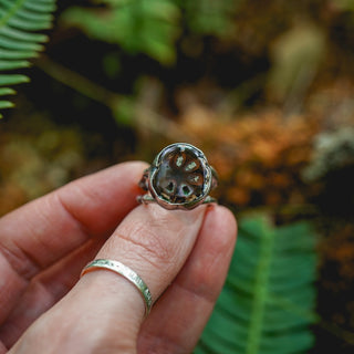Fossilised Pinecone Ring - UK N/US 7