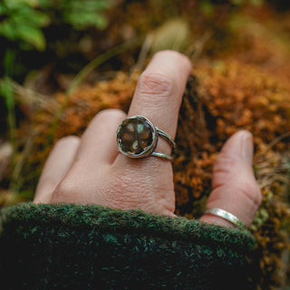 Fossilised Pinecone Ring - UK P/US 8