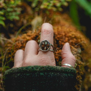 Fossilised Pinecone Ring - UK P/US 8
