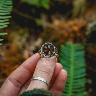 Fossilised Pinecone Ring - UK P/US 8