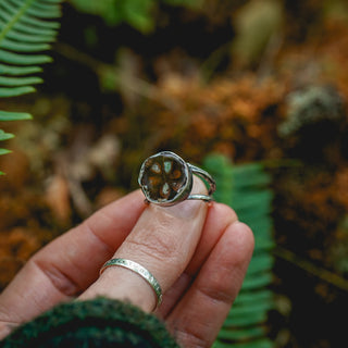 Fossilised Pinecone Ring - UK P/US 8