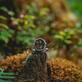 Fossilised Pinecone Ring - UK P/US 8