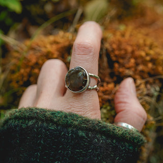 Fossilised Pinecone Ring - UK R/US 9