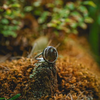 Fossilised Pinecone Ring - UK R/US 9