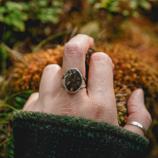 Fossilised Pinecone Ring - UK M/US 6.5