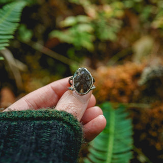 Fossilised Pinecone Ring - UK M/US 6.5