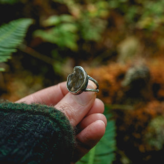 Fossilised Pinecone Ring - UK M/US 6.5