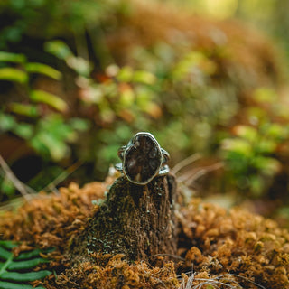 Fossilised Pinecone Ring - UK M/US 6.5