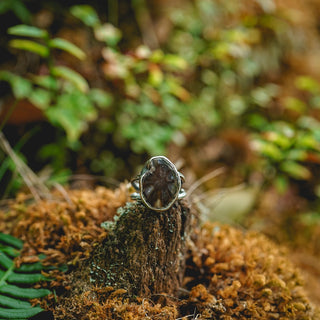 Fossilised Pinecone Ring - UK M/US 6.5