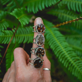 Fossilised Pinecone Ring - UK N/US 7