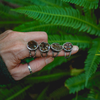 Fossilised Pinecone Ring - UK N/US 7